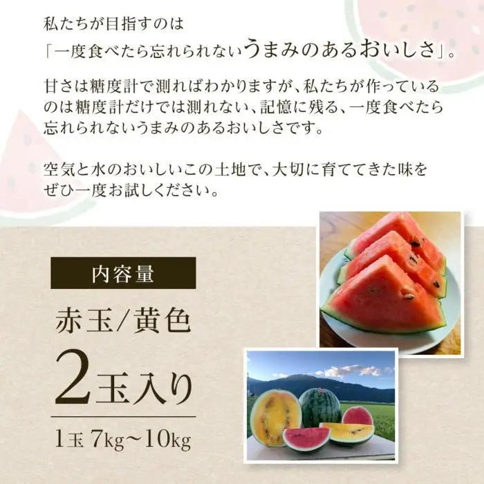 【夏季限定】飯塚農場産の八色原すいか　大玉2玉（赤1玉・黄1玉）セット【2026年7月下旬より順次発送予定】