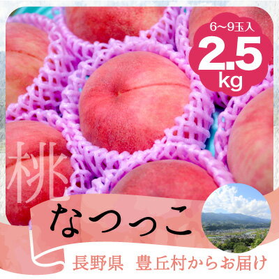 【ふるさと納税】【2025年7月中旬より発送予定】桃 なつっこ 約2.5kg【6～10玉】※2025年発送先行予約分※　農家直送　もも