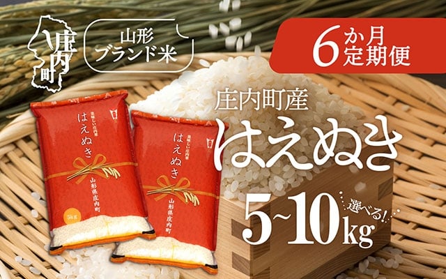 
            ＜毎月中旬発送＞庄内米6か月定期便！はえぬき 選べる配送開始月 内容量 5kg / 6kg / 10kg ブランド米 2025年産
          