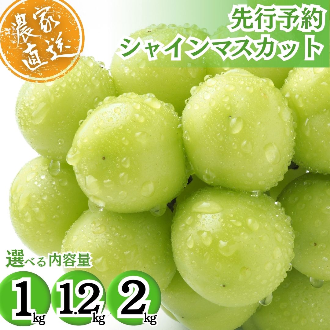 【ふるさと納税】【選べる内容量！】先行予約 西部ぶどう園 シャインマスカット 1~2kg 薄皮 種なし 葡萄 ぶどう ブドウ フルーツ 果物【 マスカット 皮ごと 美味しい 白ぶどう 高糖度 詰合せ 甘い 】※沖縄・離島への配送不可 ※2025年9月下旬～10月下旬頃に順次発送予定