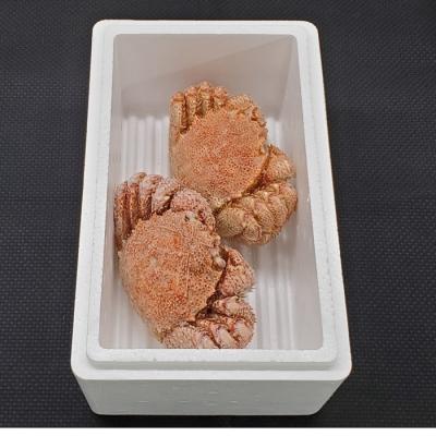 ふるさと納税 根室市 エゾバフンウニ塩水パック150g×1P、毛ガニ2尾[11月下旬以降発送] E-40020 |  | 02