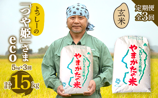 【定期便全3回】令和6年産よっしーの「つや姫」さまeco（玄米）5kg×3 米 お米 おこめ 山形県 新庄市 F3S-1625