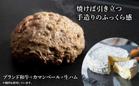 定期便6ヵ月 お楽しみ 北海道産 白老牛 カマンベールチーズハンバーグ 10個セット 冷凍 チーズ イン ハンバーグ BY116