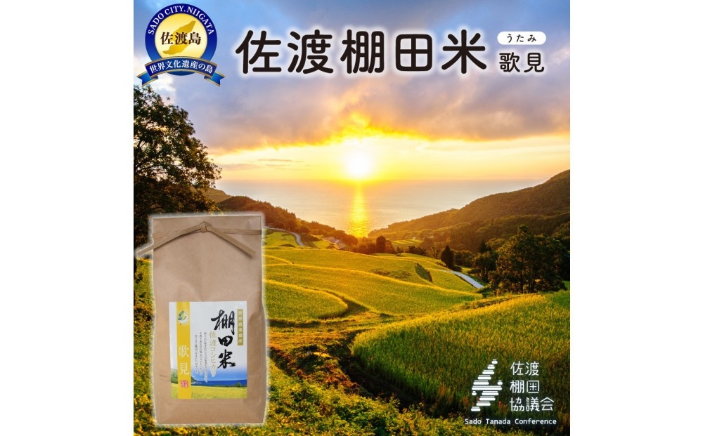 
                  佐渡島産コシヒカリ「歌見棚田米」白米2kg 令和7年産 棚田米 単一原料米 | 新潟県産コシヒカリ 新潟産コシヒカリ 新潟コシヒカリ 佐渡産コシヒカリ 新潟県産こしひかり 佐渡産こしひかり 棚田 お米 米 こしひかり 白米 精米 ブランド米 おこめ コメ 2キロ にいがた さど 新潟県 佐渡市 歌見
                