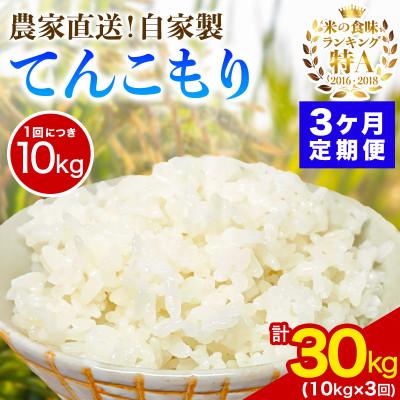 ふるさと納税 伊勢原市 【発送月固定定期便】11月上旬から出荷予定　合計30kg 精米 てんこもり10kg全3回