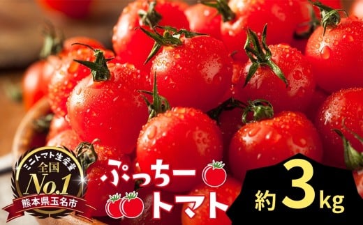 ぷっちートマト ミニトマト 3kg | 野菜 やさい ミニトマト ミニ とまと トマト 3kg リコピン 熊本県 玉名市