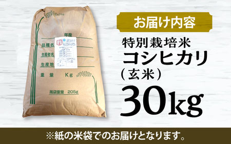 特別栽培米コシヒカリ 玄米30kg お米 こしひかり ご飯 コシヒカリ おこめ 三次市/小川モータース[APCH009]