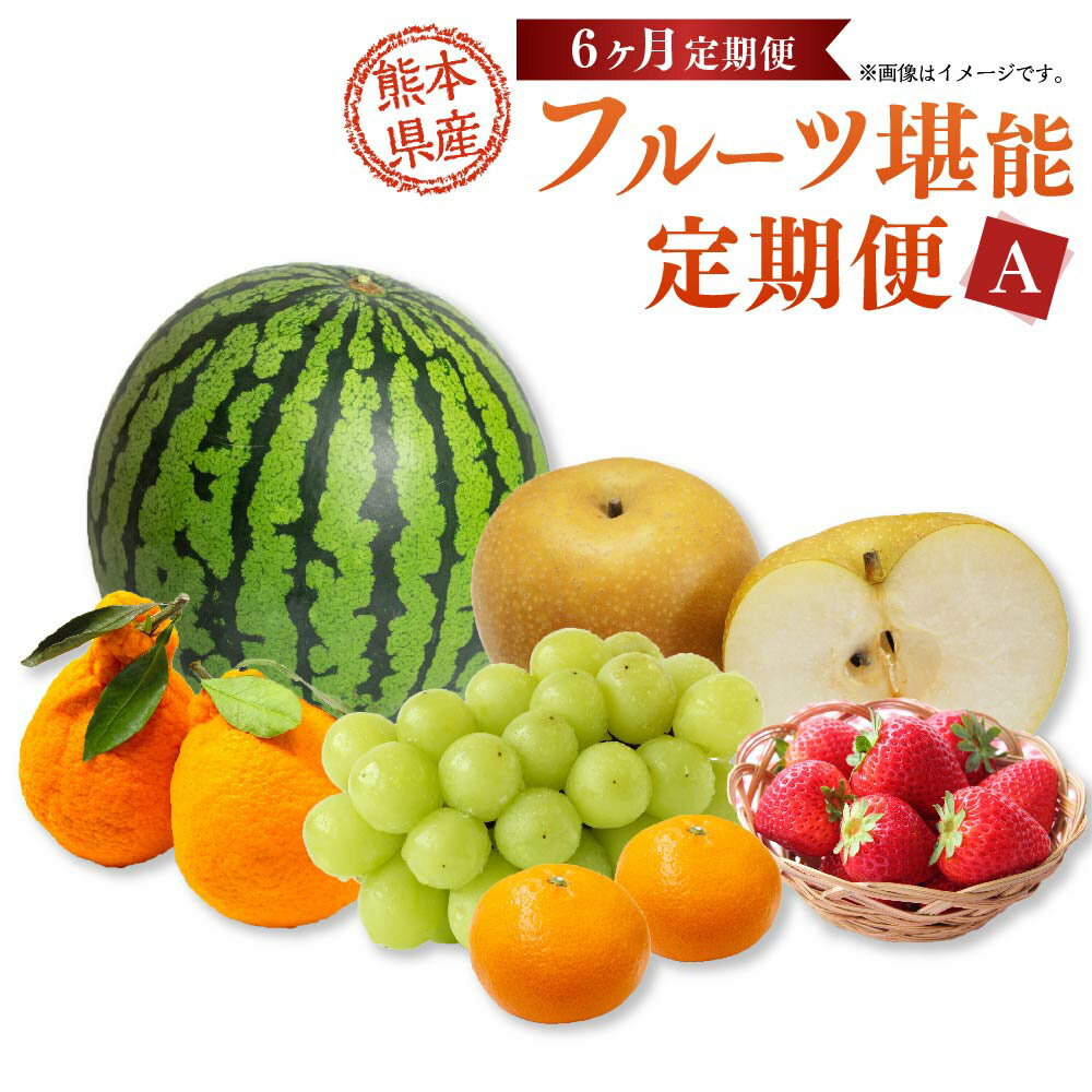 【ふるさと納税】【年6回定期便】熊本県産 フルーツA（奇数月発送） 年6回 定期配送 定期便 デコポン 温州みかん 苺 シャインマスカット 梨 柑橘 フルーツ 果実 果物 くだもの 九州 熊本県 送料無料