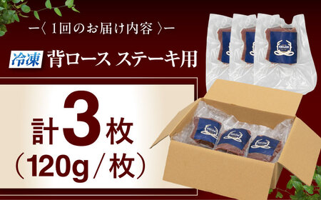 【全6回定期便】鹿肉 背ロース 3枚  ジビエ 赤身 冷凍配送 北海道 [AJAO029]