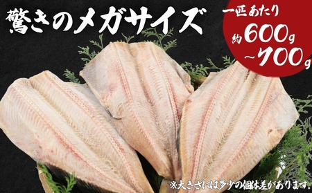 【ほっけ】 ほっけ開き 特大サイズ 3枚