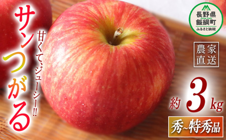 りんご サンつがる 秀～特秀3kg マルハ農園 沖縄県への配送不可 2026年9月上旬頃から2026年9月中旬頃まで順次発送予定 令和8年度収穫分 エコファーマー認定 信州 果物 フルーツ リンゴ 林檎 長野 予約 農家直送 長野県 飯綱町 [1621]
