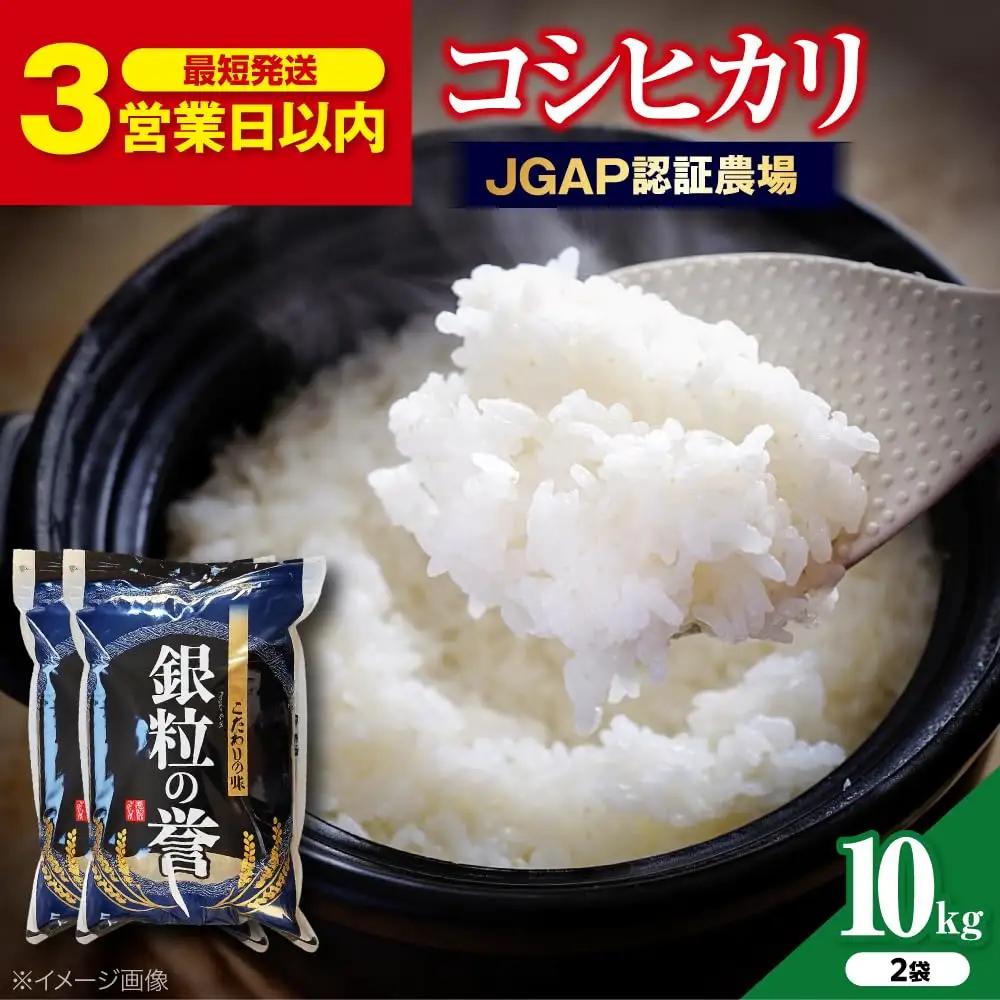 【令和7年産】こしひかり 10kg 【スピード発送】アグリ君田 [APDC002] コシヒカリ