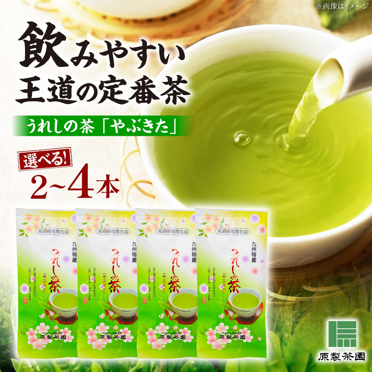 【ふるさと納税】【選べる内容量】 うれしの茶 やぶきた （2本／4本） /有限会社 原製茶園[UEJ001] お茶 茶 嬉野茶 茶葉 緑茶 日本茶 煎茶