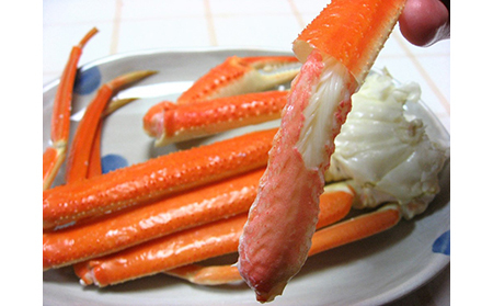 【C-37】鳥取網代港　地元で大人気　浜茹で！若松葉ガニ（中5枚10肩）【さかなや新鮮組】