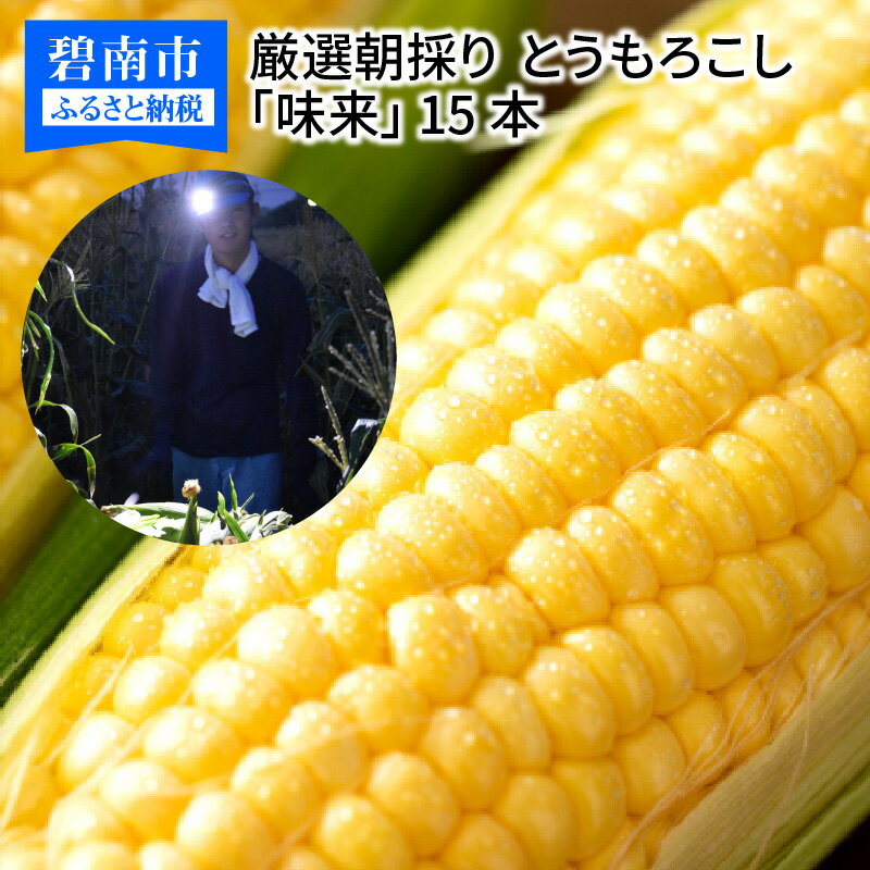 【ふるさと納税】厳選 朝採り とうもろこし スイートコーン 「味来」 15本 H017-092