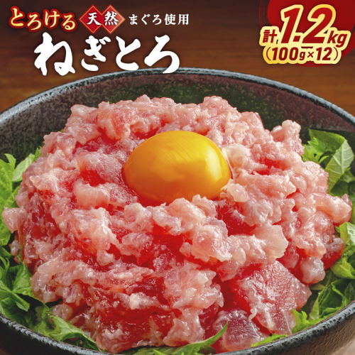 とろけるネギトロ (まぐろたたき) 100g×12P LZ007