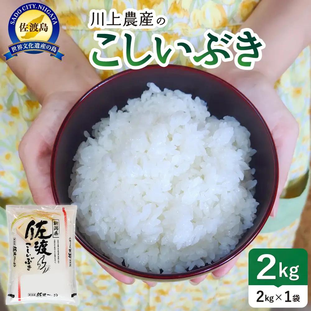 【こしいぶき 2kg】令和7年産 佐渡産こしいぶき 2kg 精米 少量パック 川上農産 