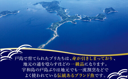 愛媛県認定 「 愛あるブランド魚 」 戸島 一番 ブリ 600g  フレッシュつちやま 鰤 戸島ぶり 養殖ぶり ぶりしゃぶ 鰤しゃぶ しゃぶしゃぶ 刺身 漬け丼 アレンジ可 お手軽 冷凍 小分け パッ
