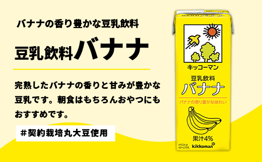 【定期便3回】【合計1000ml×18本】豆乳飲料 バナナ 1000ml ／ 飲料 キッコーマン 健康【価格改定】