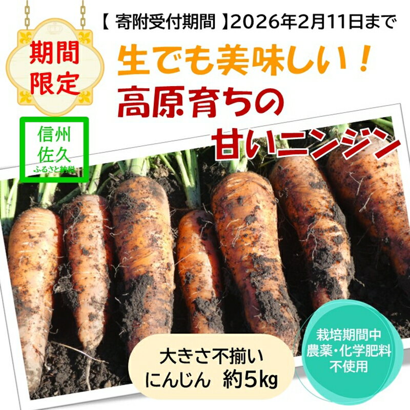 【ふるさと納税】【期間限定】生でも美味しい！高原育ちの甘いニンジン約5kg（北海道・沖縄・離島配送不可）キャロット 人参 長野県 信州 佐久市 高原