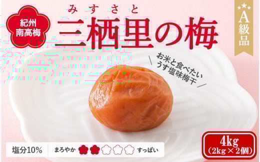 紀州南高梅　三栖里の梅（塩分10%）　4kg(2kg×2個）  / 田辺市 紀州南高梅 南高梅 梅干し 梅干 梅  肉厚 お米 おにぎり 焼酎 梅酒 健康 【ske041-2】