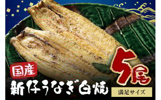満足サイズ! 国内産 うなぎ 白焼 ( 酒蒸 ) 120～140g 5尾 計600g以上 ふっくら 柔らか 鰻本来の旨味 ワサビ醤油 蒲焼のタレ 山椒付き 湯煎 簡単調理 贈答用 ギフト 冷蔵配送 茨城県 潮来市 (A23-018)