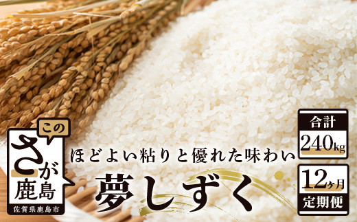 12ヶ月 毎月 お届け 佐賀県産 夢しずく 白米 20kg 定期便 V-13 定期 12回 精米 お米 令和7年産 令和8年産