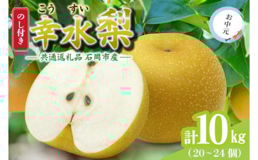 ＜のし付き＞お中元　幸水　10kg(20～24個)　県内共通返礼品 (BR149)