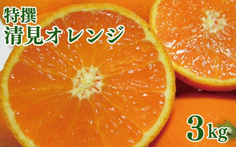 特撰　清見オレンジ 3kg+200g(補償分)【2027年2月下旬～5月上旬頃に順次発送予定】【ard239A】