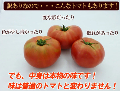 先行予約（訳あり）（2026年7月上旬頃から順次発送） 甘塾トマト 麗月 2Ｌ～3Ｌ 大サイズ 4kg以上 【119-5】