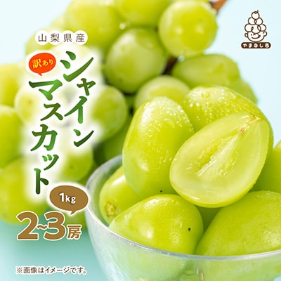 【2027年(来年)発送　先行受付】【訳あり】 池田青果のシャインマスカット2房～3房　1kg【配送不可地域：離島】
