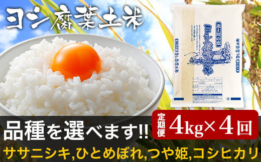 ＜定期便4回＞品種が選べる 令和5年産 ヨシ腐葉土米 コシヒカリ 合計16kg【毎月4kgを4回に渡りお届け！】