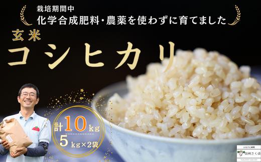 
炊きあがりのつやと香りが良く、うま味も強い　コシヒカリ　玄米10kg　佐久穂とさや農園〔ST-B5-2〕
