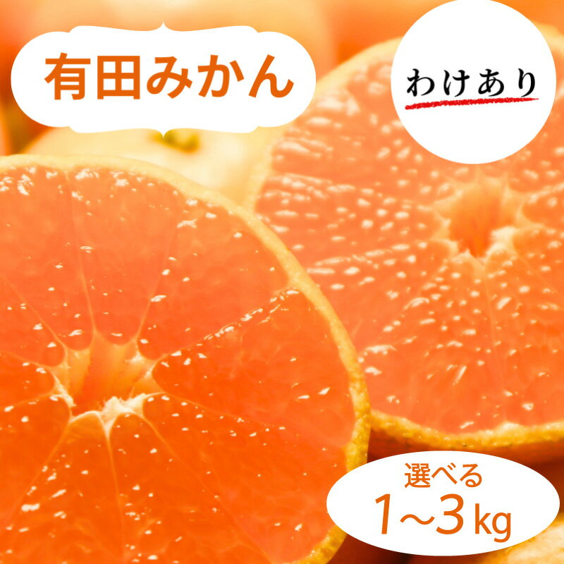 【ふるさと納税】 和歌山県産 有田みかん 訳あり 選べる容量 1kg 〜 3kg ※2026年10月中旬〜2027年1月中旬頃に順次発送予定（お届け日指定不可) ミカン 柑橘 みかん 和歌山 有田