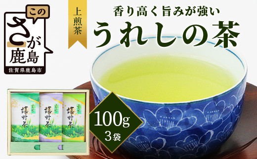 
【ギフトにおすすめ】 佐賀県産 上煎茶 うれしの茶 100g×3本【合計300g】美味しいお茶を贈り物に B-666
