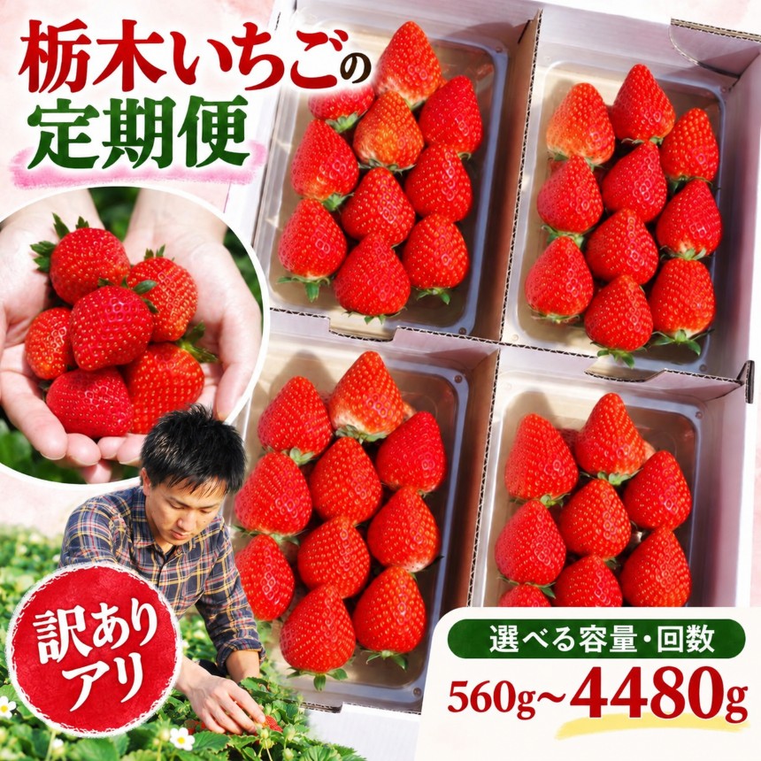 【ふるさと納税】いちご 苺 定期便 選べる 品種 | とちあいか スカイベリー ミルキーベリー とちひめ 女峰 【2027年先行予約】| イチゴ フルーツ 人気 高評価 果物 産地直送 栃木県 矢板市 澳原いちご農園