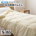 【ふるさと納税】【春夏用】洗える 羽毛 肌掛け布団 シングル ホワイトダックダウン 85% 0.4kg (無地 アイボリー) / 川村羽毛 / 山梨県 韮崎市 [20741667] 布団 羽毛布団 ダウンケット 日本製 抗菌防臭