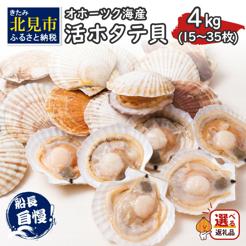 【ふるさと納税】＼11/17まで！／とれたて新鮮！オホーツク海産 活ホタテ貝 4kg 15～35枚 ( 魚介 海鮮 貝 帆立 ほたて ホタテ 4キロ カレー シチュー 肉厚 )