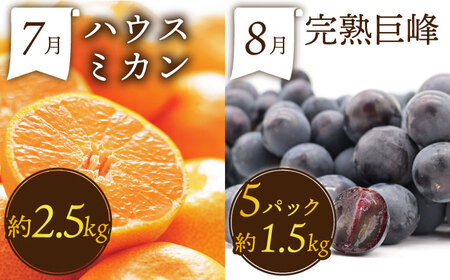 【12回コース】果物屋が選ぶ旬のフルーツ定期便 いちご メロン びわ みかん 梨 柿 など / 南島原市 / 贅沢宝庫 果物定期便 イチゴ 定期 新鮮 季節 くだもの 果物 ミカン なし かき[SDZ