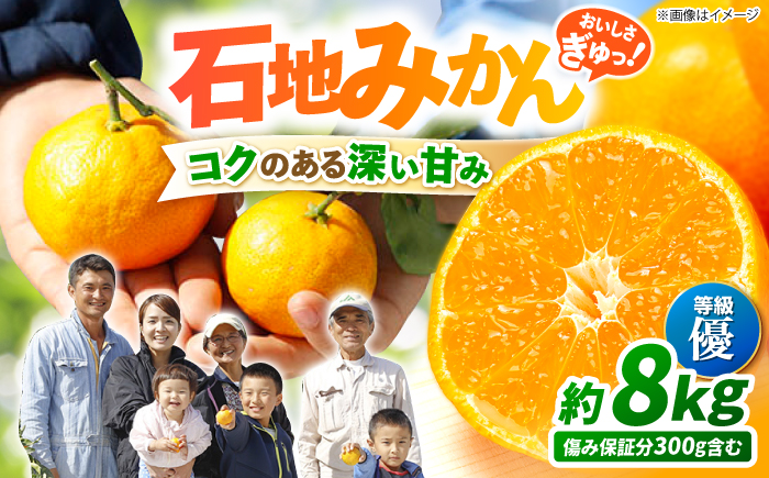 【12月上旬より配送開始☆優品】石地みかん 約8kg（傷み保証分300g含む）＜川添みかん園＞ [CCT006] みかん