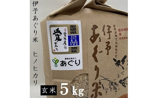 ★令和５年産をお届けします！！★農薬・化学肥料不使用　伊予あぐり米「ヒノヒカリ」（玄米５ｋｇ） 