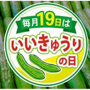 松きゅうり　5kg【配送不可地域：離島・北海道・沖縄県】【1218290】