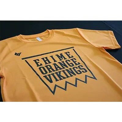 【ふるさと納税】【愛媛県共通返礼品】会場をオレンジに染めよう!バイクスTシャツ・キャップセット