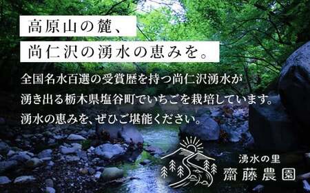 とちあいか600g＆とちおとめ600g 食べ比べセット 計1.2kg 風袋入り ｜ 人気 2品種 食べ比べ 手作り 厳選 農家 特産品 新鮮 フレッシュ ストロベリー 苺 塩谷町 ※2026年12月～