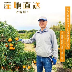 【数量限定】ご家庭用 たにぐち農園の麗紅 (れいこう) 約4.5㎏ Lサイズ以上 みかん れいこうみかん ミカン 柑橘 フルーツ 果物 くだもの 家庭用 れいこう オレンジ 旬 産地直送 農家直送 【