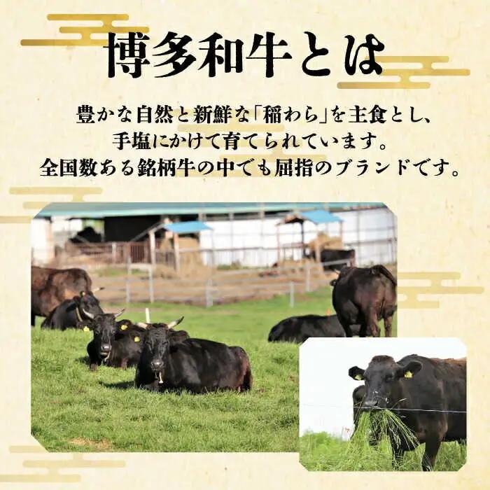 【全5回定期便】 サーロイン ステーキ 200g × 3枚 [ABCL010] 