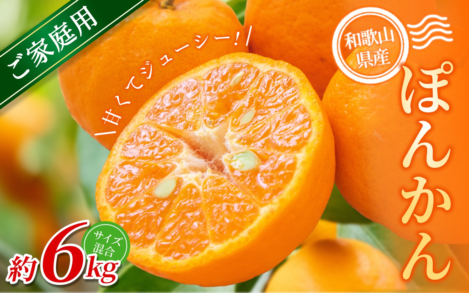 
            【ご家庭用】手選別 ぽんかん 約6kg 和歌山県産 2S~2Lサイズ混合※2026年1月上旬～2月上旬頃に順次発送【mrmt032】
          