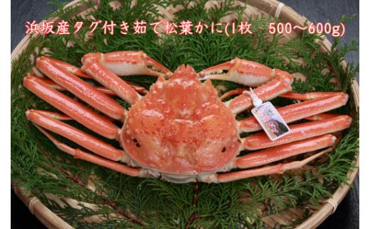 浜坂産タグ付き茹で松葉かに(1枚　500～600g)【1079535】