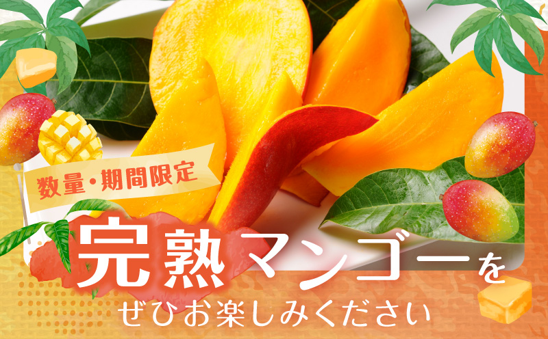 《2026年発送先行予約》【数量・期間限定】宮崎県産鉢植え完熟マンゴー 熟赤の雫(あかのしずく) 化粧箱入り2L×2玉 完熟マンゴー マンゴー フルーツ くだもの デザート スイーツ 南国_M168-