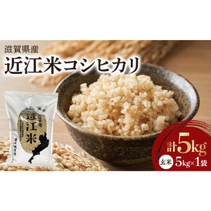 令和7年産　近江米コシヒカリ（玄米）5kg
